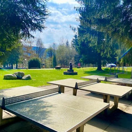 Relaxapartments Abendsonne Im Herzen Des Harzes - Ein El Dorado Fuer Wanderer, Biker Und Ruhesuchende - Mit Sonnigem Balkon Und Platz Fuer Bis Zu 3 Personen 고슬라르 외부 사진