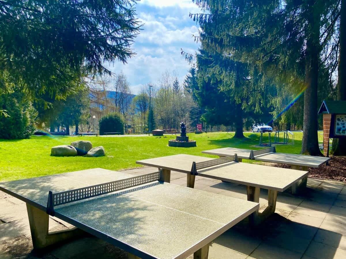 Relaxapartments Abendsonne Im Herzen Des Harzes - Ein El Dorado Fuer Wanderer, Biker Und Ruhesuchende - Mit Sonnigem Balkon Und Platz Fuer Bis Zu 3 Personen 고슬라르 외부 사진