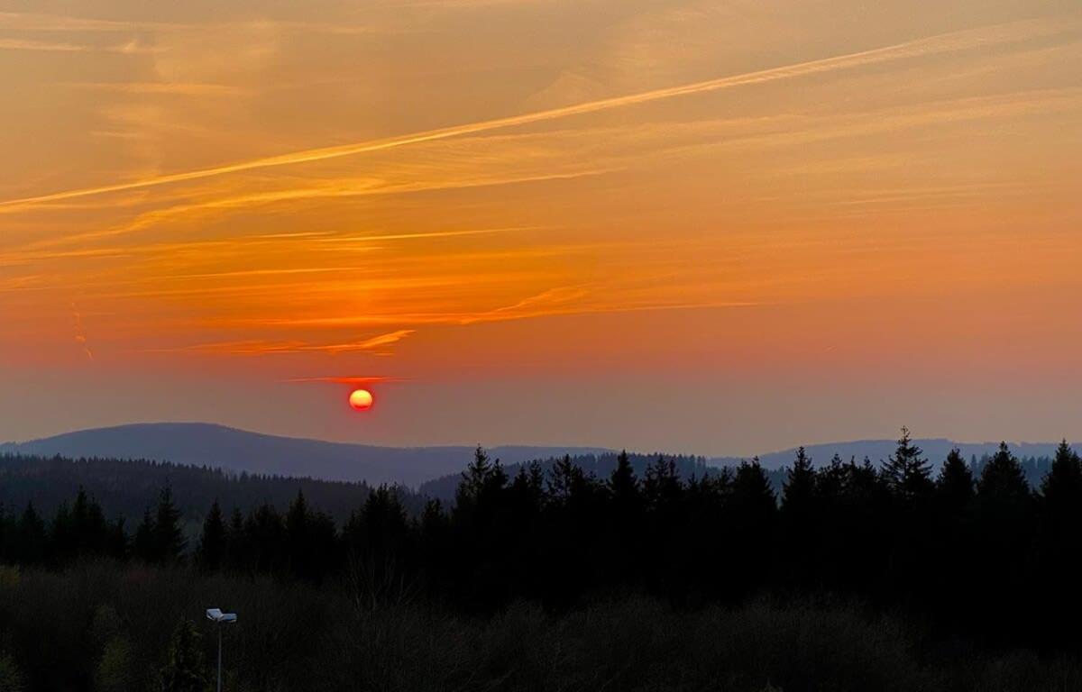Relaxapartments Abendsonne Im Herzen Des Harzes - Ein El Dorado Fuer Wanderer, Biker Und Ruhesuchende - Mit Sonnigem Balkon Und Platz Fuer Bis Zu 3 Personen 고슬라르 외부 사진