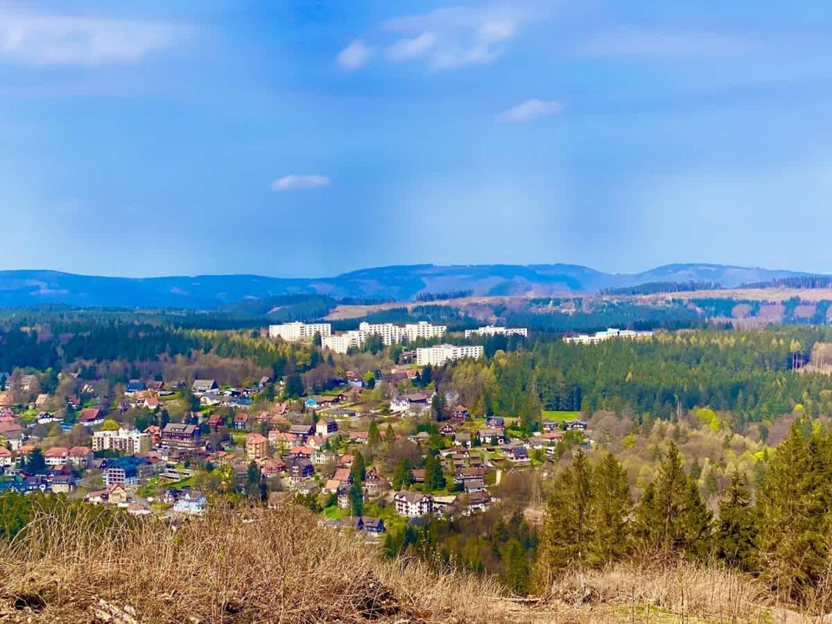 Relaxapartments Abendsonne Im Herzen Des Harzes - Ein El Dorado Fuer Wanderer, Biker Und Ruhesuchende - Mit Sonnigem Balkon Und Platz Fuer Bis Zu 3 Personen 고슬라르 외부 사진
