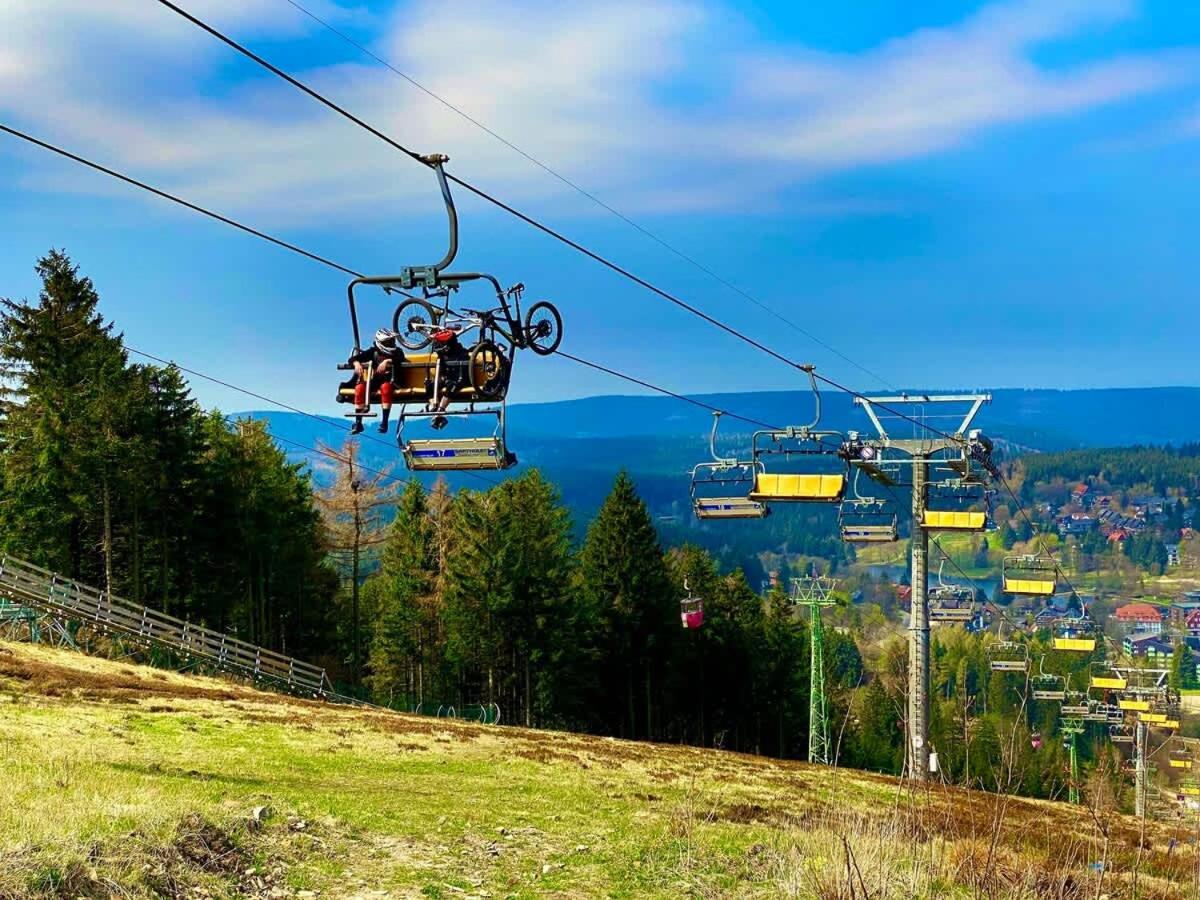 Relaxapartments Abendsonne Im Herzen Des Harzes - Ein El Dorado Fuer Wanderer, Biker Und Ruhesuchende - Mit Sonnigem Balkon Und Platz Fuer Bis Zu 3 Personen 고슬라르 외부 사진